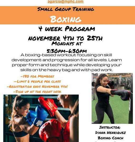 Small Group Training Boxing at Manhattan Plaza Health Club NYC