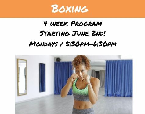 Small Group Training Boxing at Manhattan Plaza Health Club