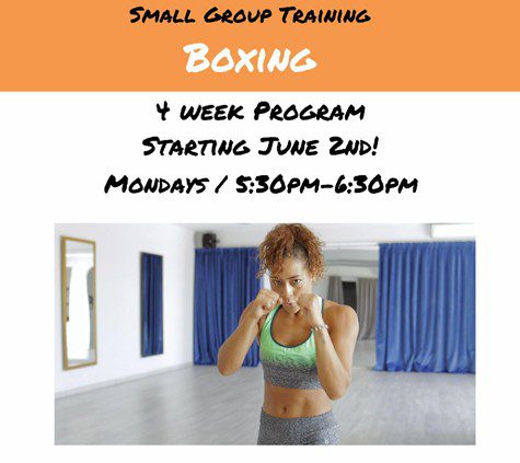 Small Group Training Boxing at Manhattan Plaza Health Club